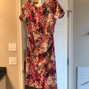 Pink Blush Medium Maternity Dress